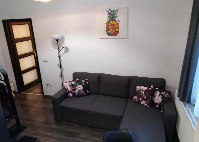 Apartament Downtown Deluxe *